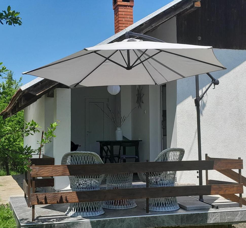 Vikendica Gaj Villa Gornji Milanovac Exterior photo